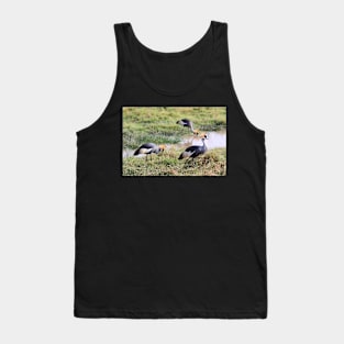 Grey Crowned Crane, Kenya Tank Top